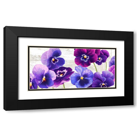 Dance of Pansies Black Modern Wood Framed Art Print with Double Matting by Thomlinson, Jenny