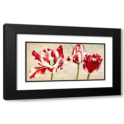 Tulipes Royales Black Modern Wood Framed Art Print with Double Matting by Villa, Luca