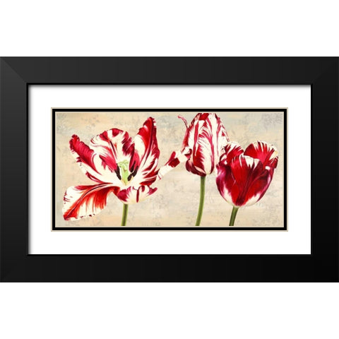 Tulipes Royales Black Modern Wood Framed Art Print with Double Matting by Villa, Luca