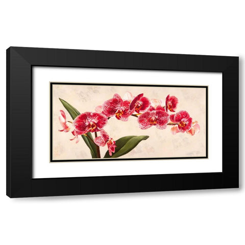 Purple Queens Black Modern Wood Framed Art Print with Double Matting by Villa, Luca