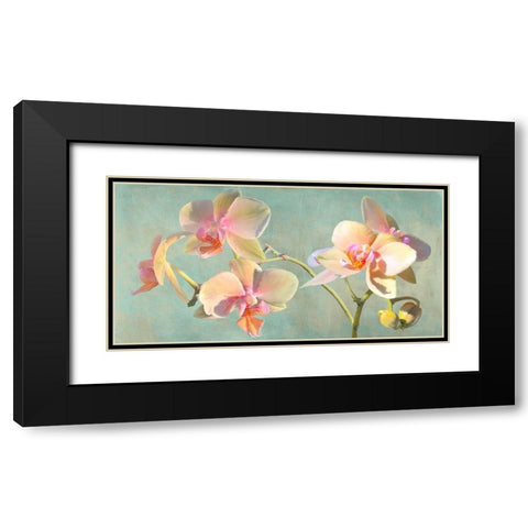 Jewel Orchids Black Modern Wood Framed Art Print with Double Matting by Villa, Luca