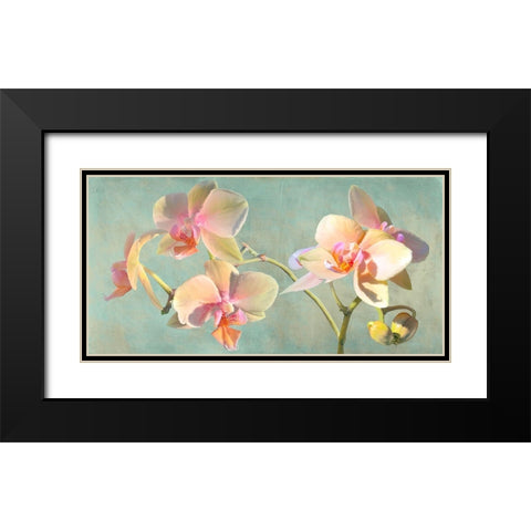 Jewel Orchids Black Modern Wood Framed Art Print with Double Matting by Villa, Luca