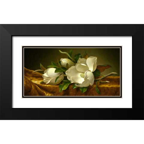 Magnolias on Gold Velvet Cloth Black Modern Wood Framed Art Print with Double Matting by Heade, Martin Johnson