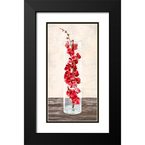 Arrangement of orchids Black Modern Wood Framed Art Print with Double Matting by Mills, Shin