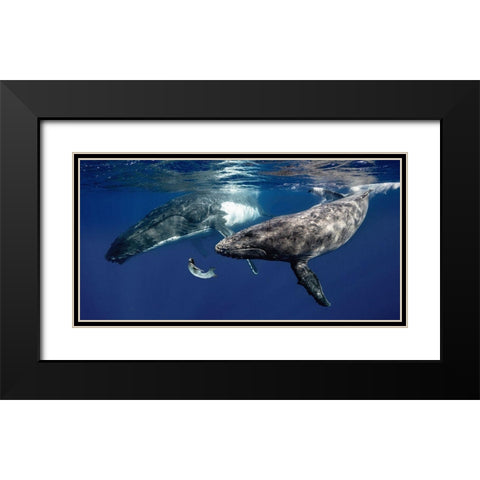 La Fille de la Mer (couleur) Black Modern Wood Framed Art Print with Double Matting by Moreau, Marc