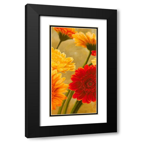 Gerbere nel sole II Black Modern Wood Framed Art Print with Double Matting by Biffi, Serena