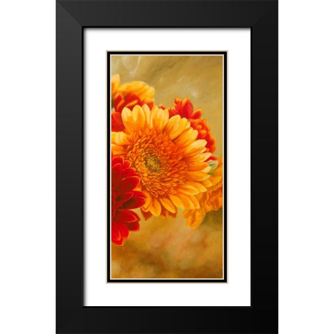 Gerbere nel sole III Black Modern Wood Framed Art Print with Double Matting by Biffi, Serena