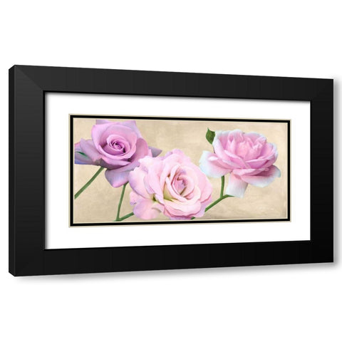 Rose classiche Black Modern Wood Framed Art Print with Double Matting by Biffi,  Serena