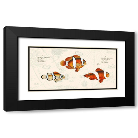 Tropical fish I- After Bloch Black Modern Wood Framed Art Print with Double Matting by Lamanche, Stef