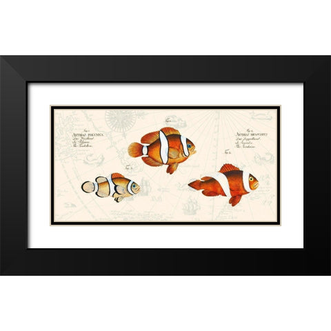 Tropical fish I- After Bloch Black Modern Wood Framed Art Print with Double Matting by Lamanche, Stef