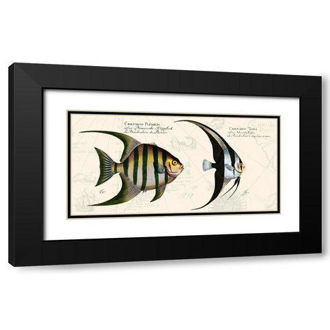 Tropical fish II-  After Bloch Black Modern Wood Framed Art Print with Double Matting by Lamanche, Stef