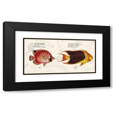 Tropical fish III-  After Bloch Black Modern Wood Framed Art Print with Double Matting by Lamanche, Stef