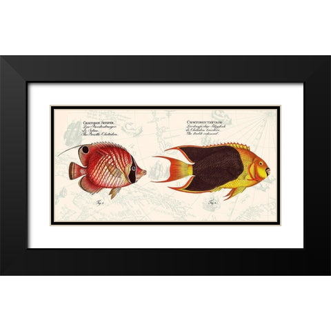 Tropical fish III-  After Bloch Black Modern Wood Framed Art Print with Double Matting by Lamanche, Stef