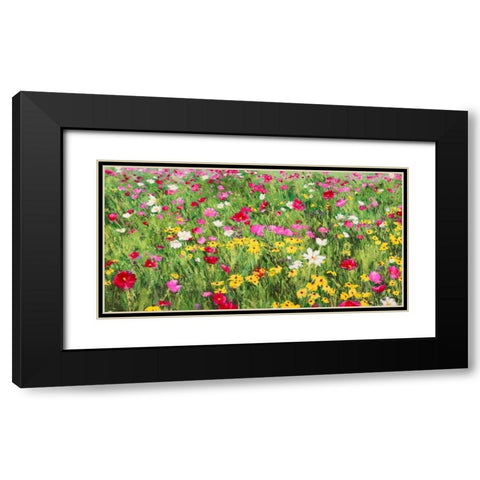 Field of Flowers Black Modern Wood Framed Art Print with Double Matting by Mei, Silvia