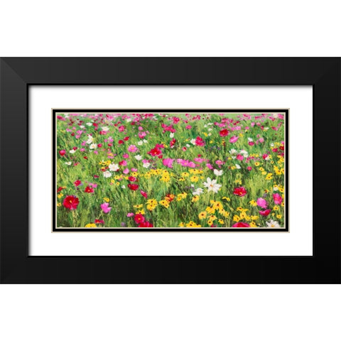 Field of Flowers Black Modern Wood Framed Art Print with Double Matting by Mei, Silvia