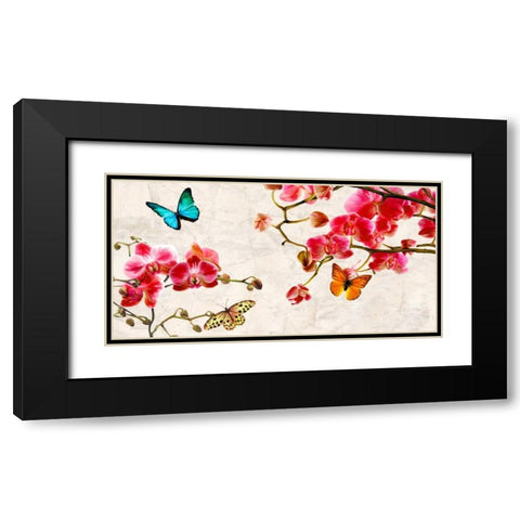 Orchids and Butterflies Black Modern Wood Framed Art Print with Double Matting by Rizzardi, Teo