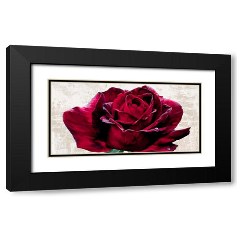 Purple Dame Black Modern Wood Framed Art Print with Double Matting by Rizzardi, Teo