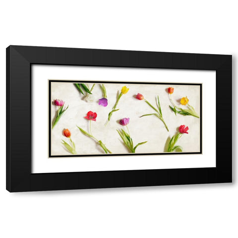 Cut Tulips Black Modern Wood Framed Art Print with Double Matting by Rizzardi, Teo