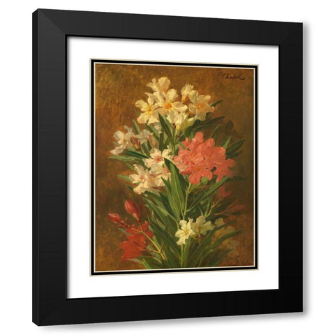 Rot und weiss bluhender Oleander Black Modern Wood Framed Art Print with Double Matting by Chabal-Dussergey, Pierre Adrien
