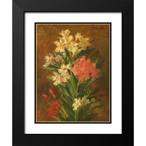 Rot und weiss bluhender Oleander Black Modern Wood Framed Art Print with Double Matting by Chabal-Dussergey, Pierre Adrien