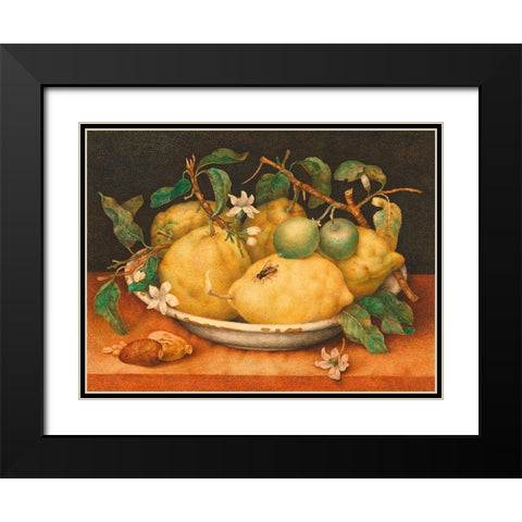 Natura morta con cedri Black Modern Wood Framed Art Print with Double Matting by Giovanna, Garzoni