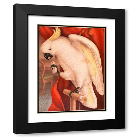 Great Sulphur-Crested Cockatoo Black Modern Wood Framed Art Print with Double Matting by James Whitley, Sayer