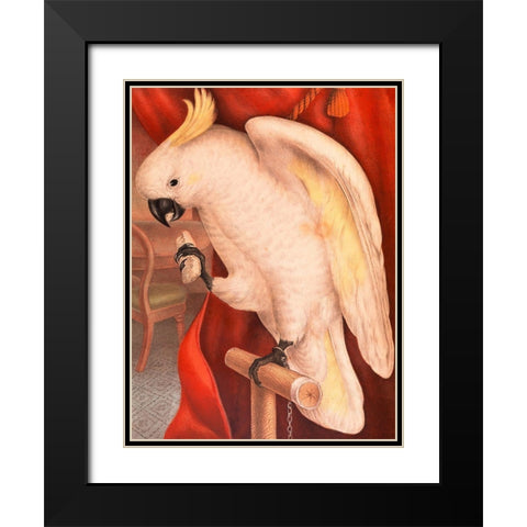 Great Sulphur-Crested Cockatoo Black Modern Wood Framed Art Print with Double Matting by James Whitley, Sayer