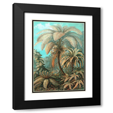 Filicinae Black Modern Wood Framed Art Print with Double Matting by Haeckel, Ernst