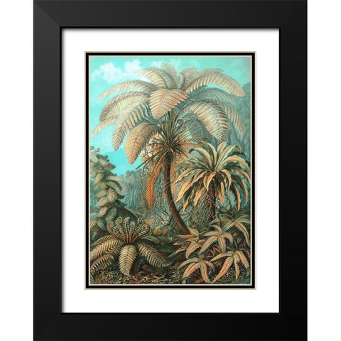 Filicinae Black Modern Wood Framed Art Print with Double Matting by Haeckel, Ernst
