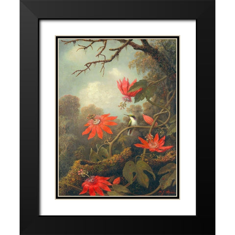 Hummingbird and Passionflowers Black Modern Wood Framed Art Print with Double Matting by Heade, Martin Johnson