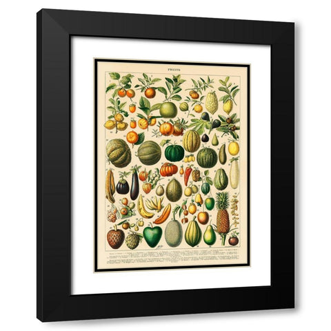 Fruits and Vegetables Black Modern Wood Framed Art Print with Double Matting by Millot, Adolphe