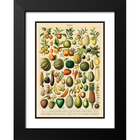Fruits and Vegetables Black Modern Wood Framed Art Print with Double Matting by Millot, Adolphe