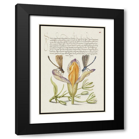 From the Model Book of Calligraphy-VI Black Modern Wood Framed Art Print with Double Matting by Hoefnagel, Bocskay