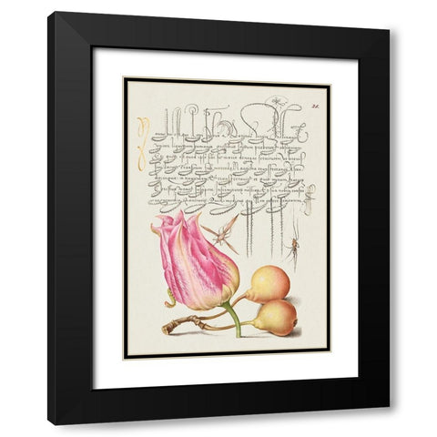 From the Model Book of Calligraphy-VII Black Modern Wood Framed Art Print with Double Matting by Hoefnagel, Bocskay