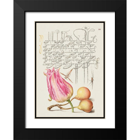 From the Model Book of Calligraphy-VII Black Modern Wood Framed Art Print with Double Matting by Hoefnagel, Bocskay