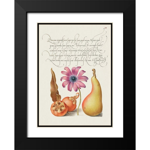 From the Model Book of Calligraphy-VIII Black Modern Wood Framed Art Print with Double Matting by Hoefnagel, Bocskay