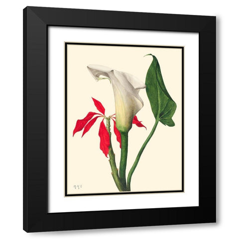 Calla Lily-1877 Black Modern Wood Framed Art Print with Double Matting by Walcott, Mary Vaux