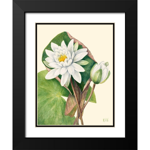 American Waterlily-1920 Black Modern Wood Framed Art Print with Double Matting by Walcott, Mary Vaux
