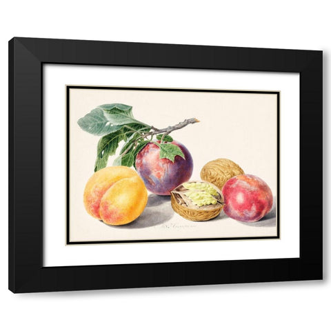 Fruits I Black Modern Wood Framed Art Print with Double Matting by van Huysum, Michiel