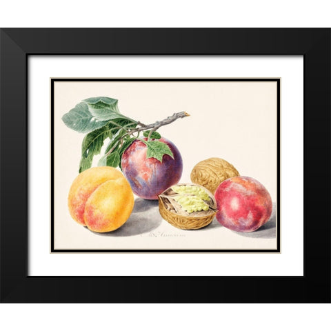 Fruits I Black Modern Wood Framed Art Print with Double Matting by van Huysum, Michiel