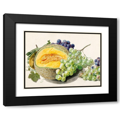 Fruits II Black Modern Wood Framed Art Print with Double Matting by van Huysum, Michiel