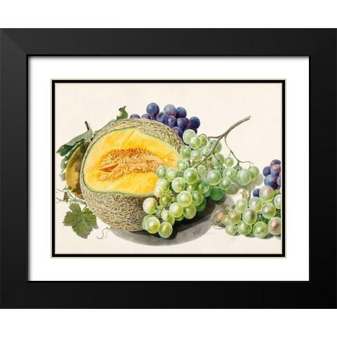 Fruits II Black Modern Wood Framed Art Print with Double Matting by van Huysum, Michiel