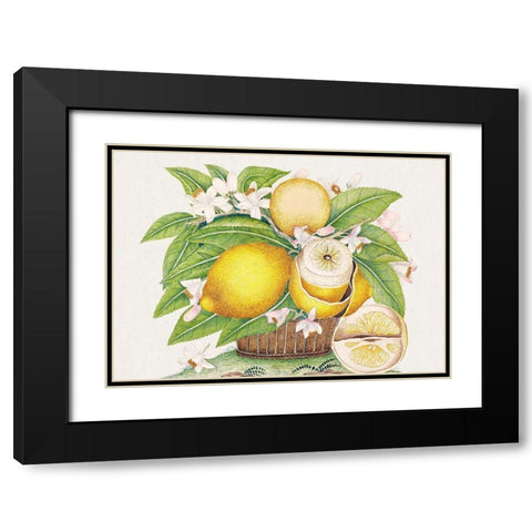 Basket of lemons Black Modern Wood Framed Art Print with Double Matting by Anonymous