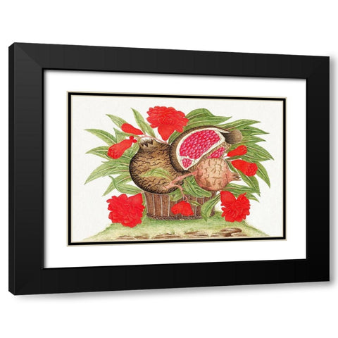 Basket of pomegranates Black Modern Wood Framed Art Print with Double Matting by Anonymous