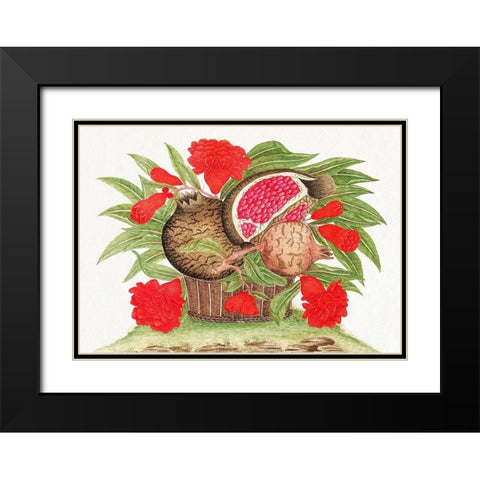 Basket of pomegranates Black Modern Wood Framed Art Print with Double Matting by Anonymous