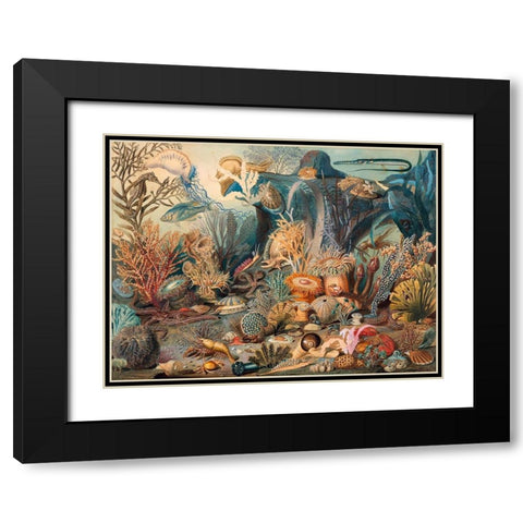 Ocean Life Black Modern Wood Framed Art Print with Double Matting by Sommerville, James M.