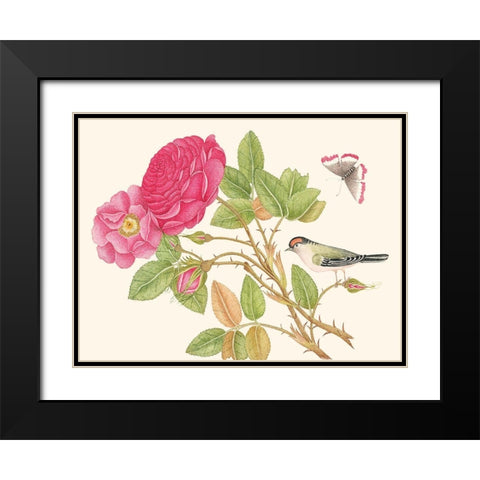A bird on rose branch Black Modern Wood Framed Art Print with Double Matting by Anonymous