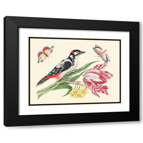 A Bird on Tulip stem with Daffodils Black Modern Wood Framed Art Print with Double Matting by Anonymous