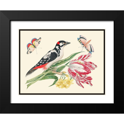 A Bird on Tulip stem with Daffodils Black Modern Wood Framed Art Print with Double Matting by Anonymous