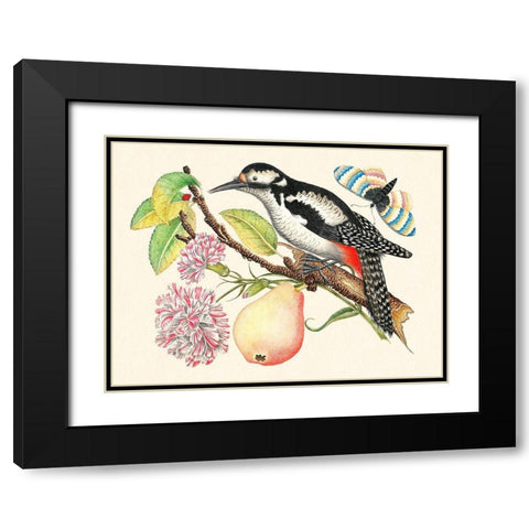 A bird perched on a branch I Black Modern Wood Framed Art Print with Double Matting by Anonymous